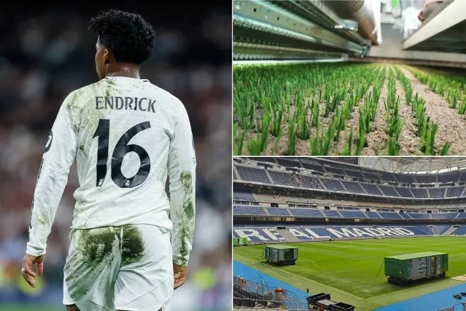 皇馬球衣上的綠色斑點之謎：球場使用無害綠色油漆，美化草皮接縫